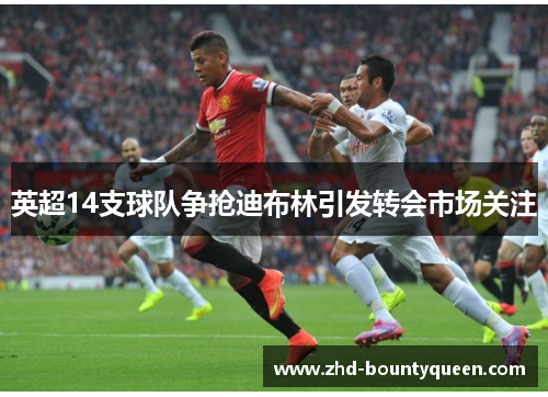 英超14支球队争抢迪布林引发转会市场关注