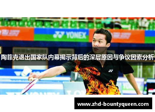 陶菲克退出国家队内幕揭示背后的深层原因与争议因素分析